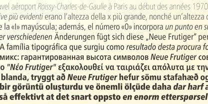 Neue Frutiger Paneuropean Font Poster 5